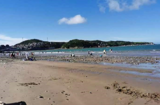 遠離喧囂 回歸自然 | 花邊業務四部衢山島團建