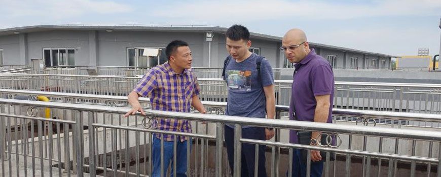 種好梧桐樹(shù)，引得鳳凰來(lái)